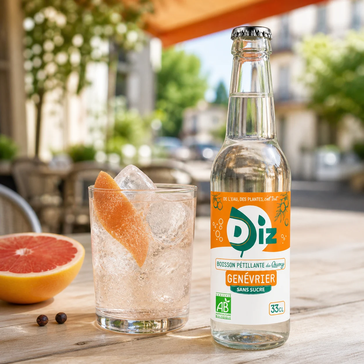 DIZ Genévrier avec des glaçons et un zeste de pamplemousse