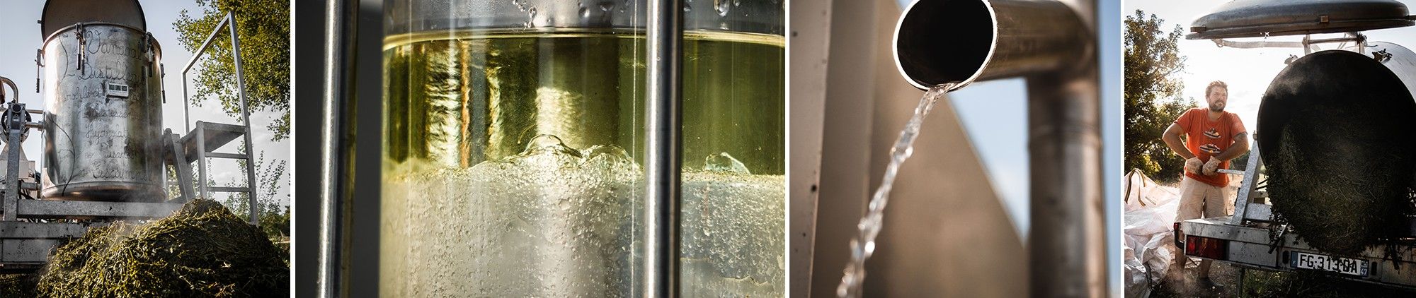 montage photo distillation