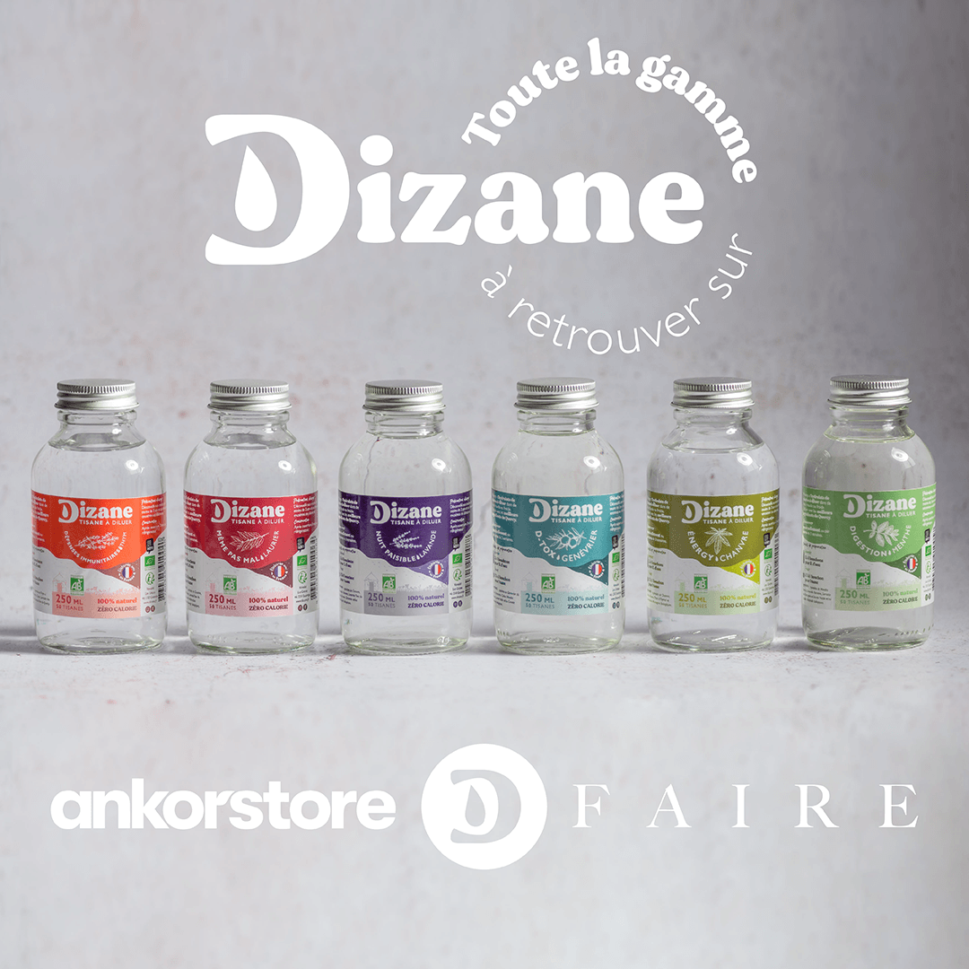 Gamme et Logos Dizane et plateformes