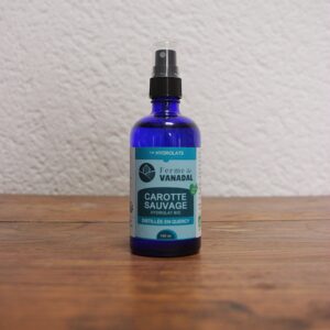 Hydrolat bio de Carotte sauvage (Quantité très limitée)