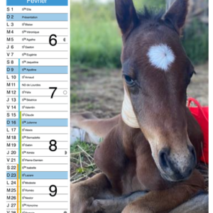 Calendrier 2025 - Oplah