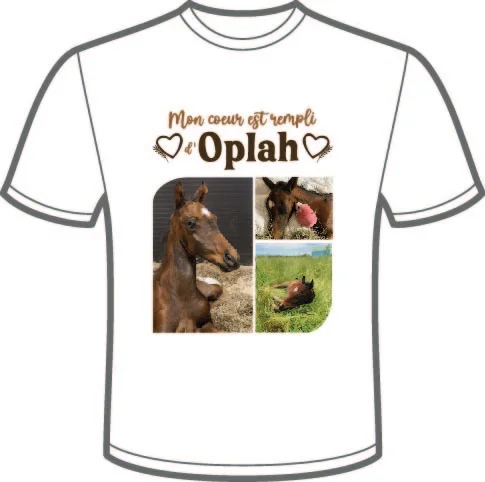 OPLAH uniquement -Tee-Shirt Blanc Unisexe Col Rond Coton Bio