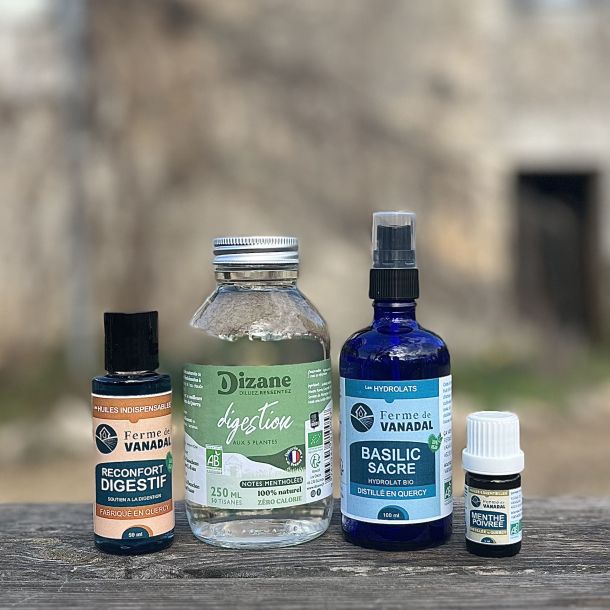 Pack Digestion Confort et Équilibre Intestinal